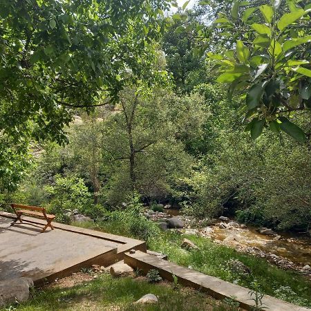 Forest Guest House Mirzakishlak 외부 사진