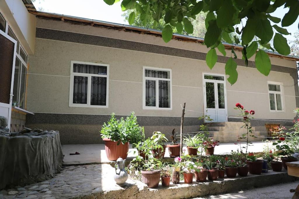 Forest Guest House Mirzakishlak 외부 사진