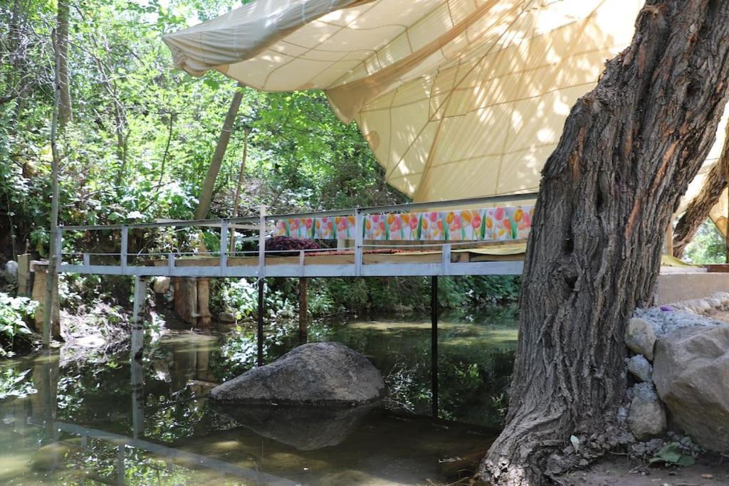 Forest Guest House Mirzakishlak 외부 사진