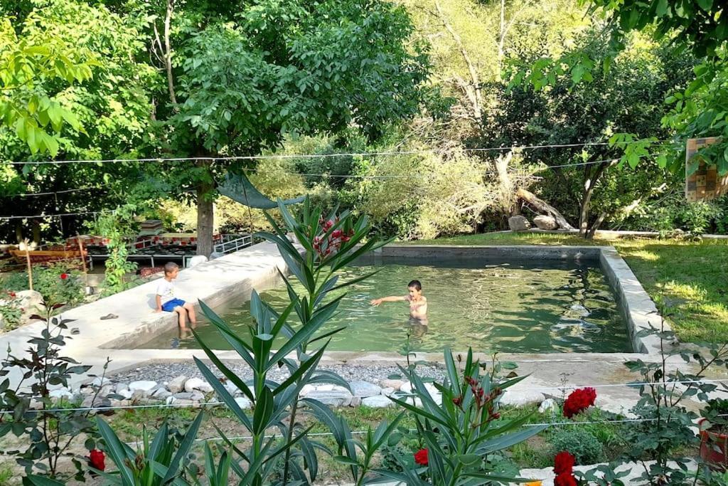 Forest Guest House Mirzakishlak 외부 사진